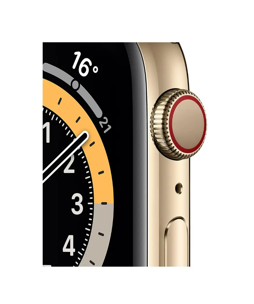 Apple Watch Series 6 (GPS + Cellular, 40mm) | Gold Stainless Steel Case 5 Apple Watch Series 6 Blood Oxygen App